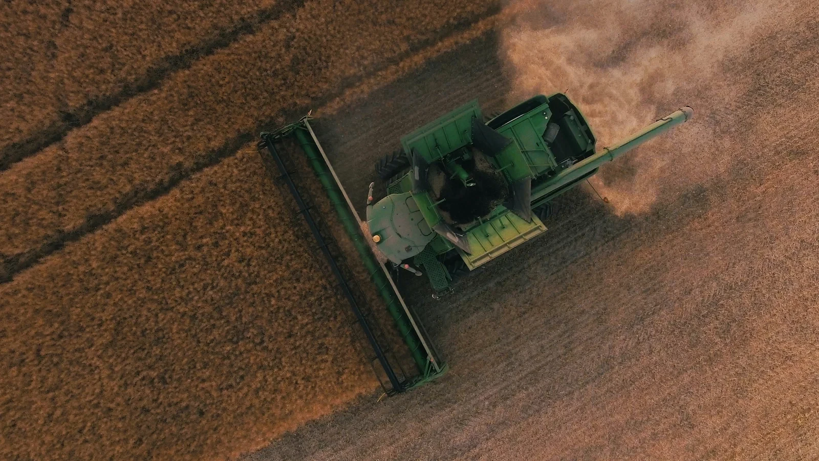 Avoiding the SBTi trap: why Europe needs a regulated market for agricultural carbon